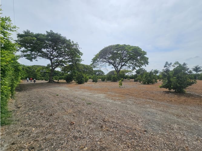 Lote en venta en Matapalo, Palmira, 10500 m² · foto 12 de 15