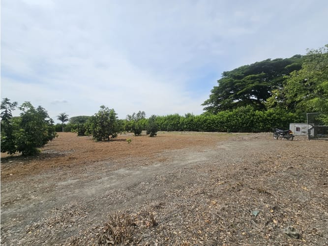 Lote en venta en Matapalo, Palmira, 10500 m² · foto 13 de 15