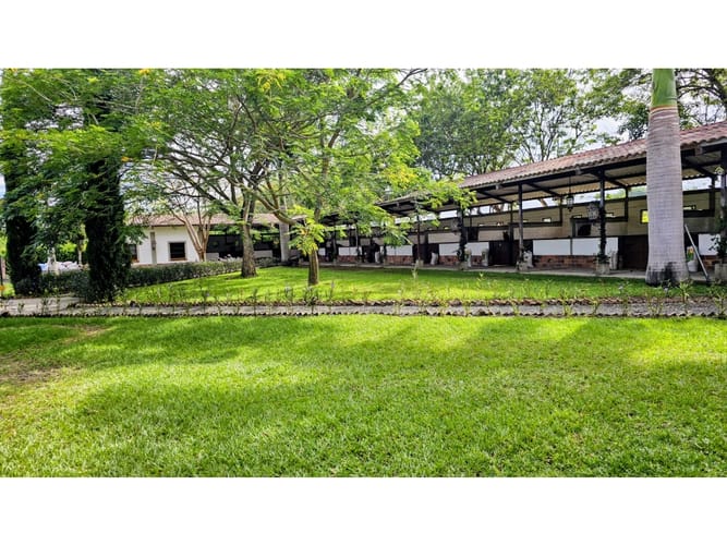 Casa de 5 alcobas en venta en Rozo, Palmira, 2000 m² · foto 11 de 24