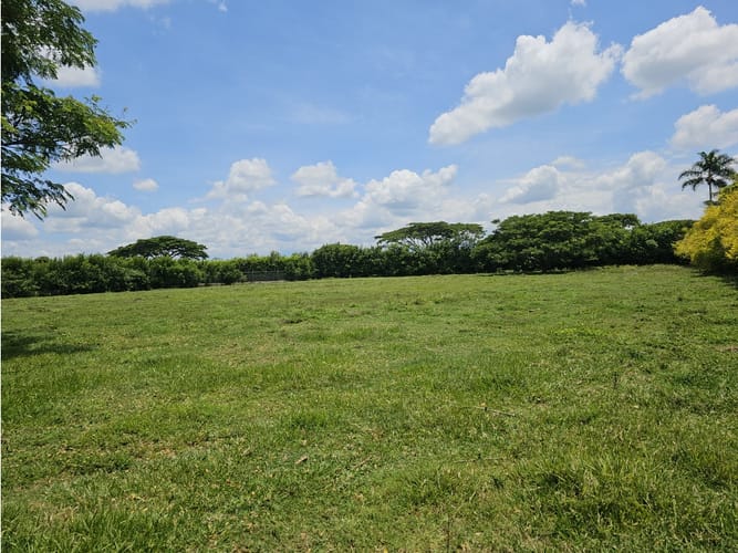 Lote en venta en Rozo, Palmira, 6400 m² · foto 3 de 7
