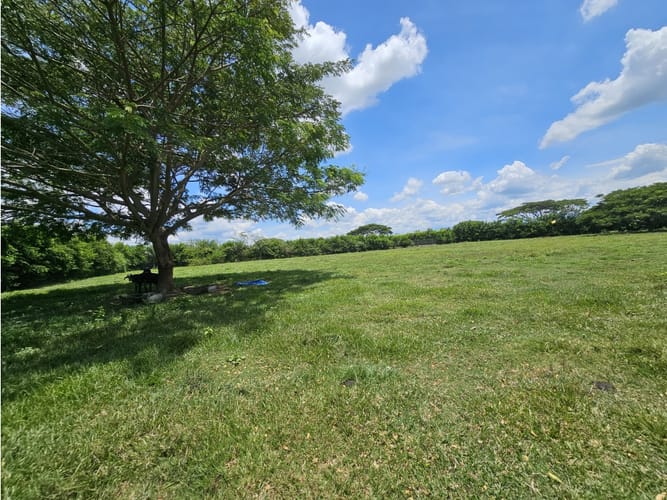 Lote en venta en Rozo, Palmira, 6400 m² · foto 4 de 7