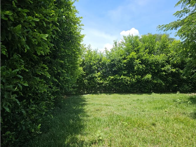 Lote en venta en Rozo, Palmira, 6400 m² · foto 5 de 7