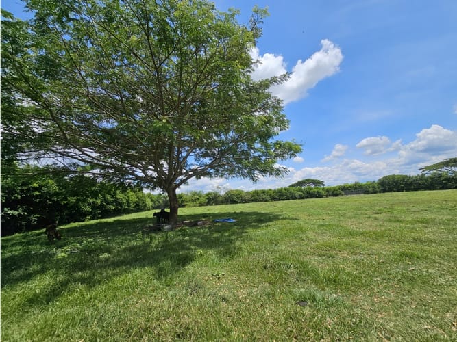 Lote en venta en Rozo, Palmira, 6400 m² · foto 6 de 7