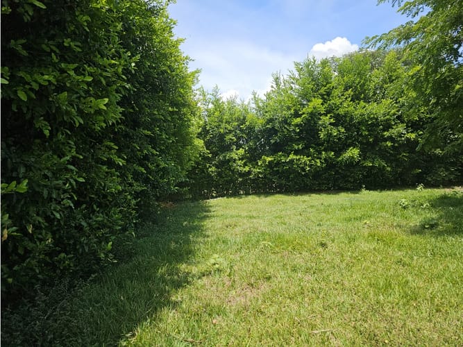 Lote en venta en Rozo, Palmira, 6400 m² · foto 7 de 7