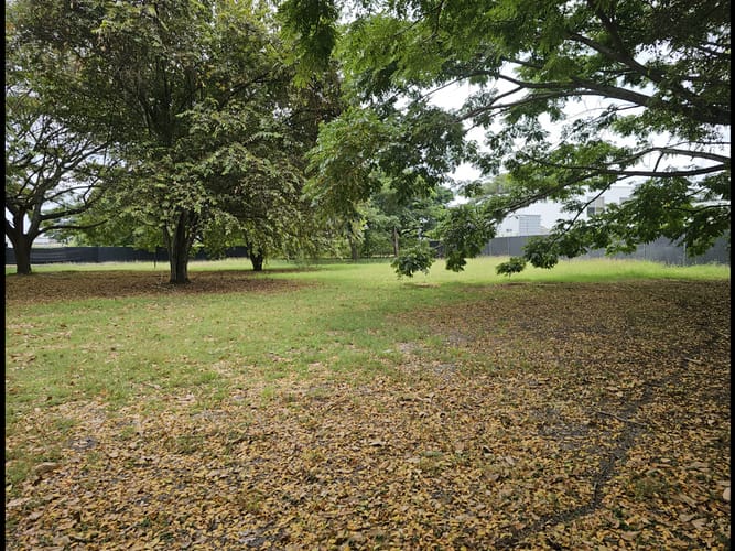Lote en venta en Matapalo, Palmira, 1900 m² · foto 4 de 15