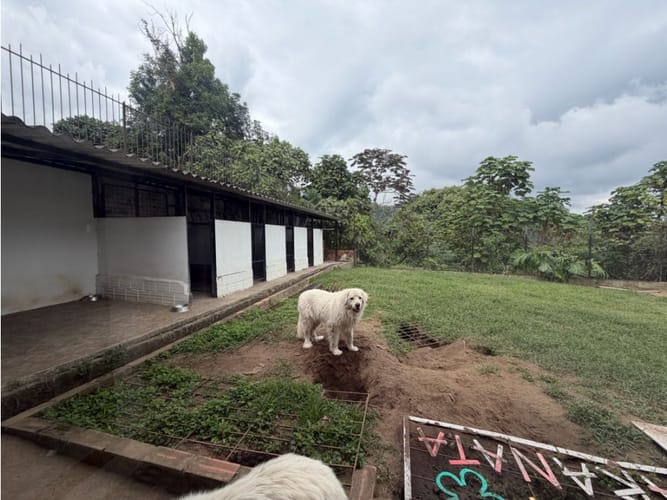 Casa de 5 alcobas en venta en La Francia, Manizales, 305 m² · foto 19 de 20