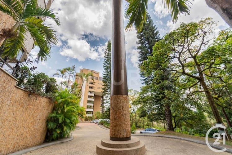 Apartamento de 3 alcobas en arriendo en Urbanizacion Altos De Torremolinos, Medellín, 420 m² · foto 23 de 23
