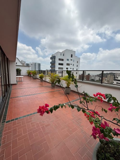 Apartamento de 6 alcobas en arriendo en Santa Teresita, Cali, 270 m² · foto 4 de 24