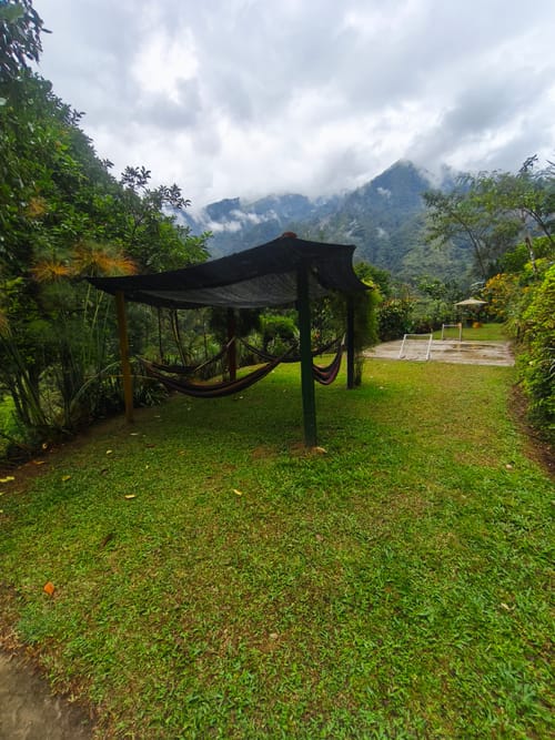 Finca en venta en Juntas, Ibagué, 200 m² · foto 15 de 19