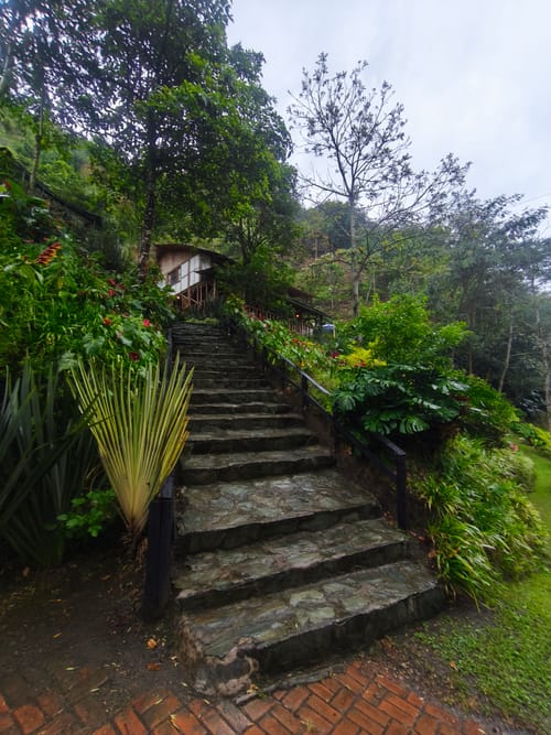Finca en venta en Juntas, Ibagué, 200 m² · foto 19 de 19