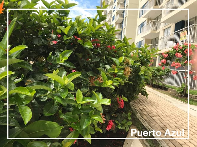 Apartamento de 3 alcobas en venta en Ricaurte, 68 m² · foto 9 de 18
