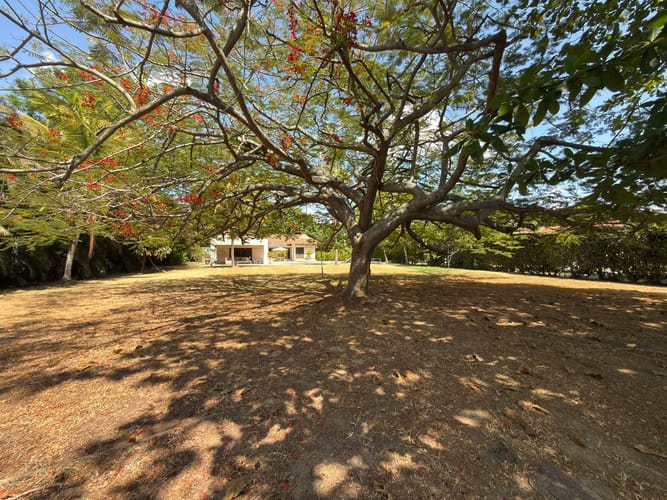 Casa de 4 alcobas en venta en Bosques De Peñalisa, Ricaurte, 270 m² · foto 21 de 23