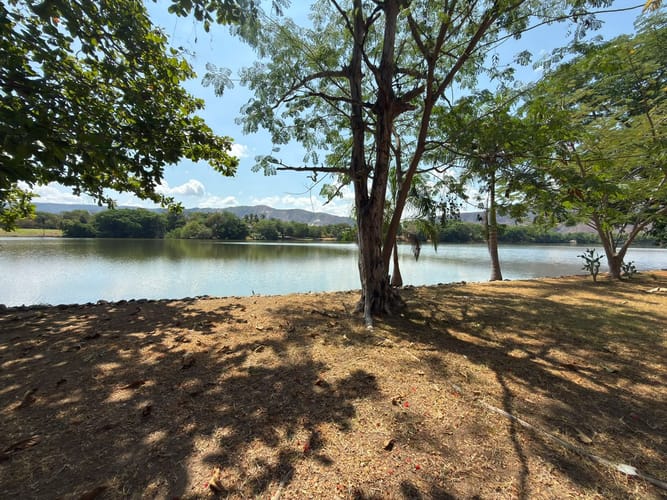 Casa de 4 alcobas en venta en Bosques De Peñalisa, Ricaurte, 270 m² · foto 23 de 23