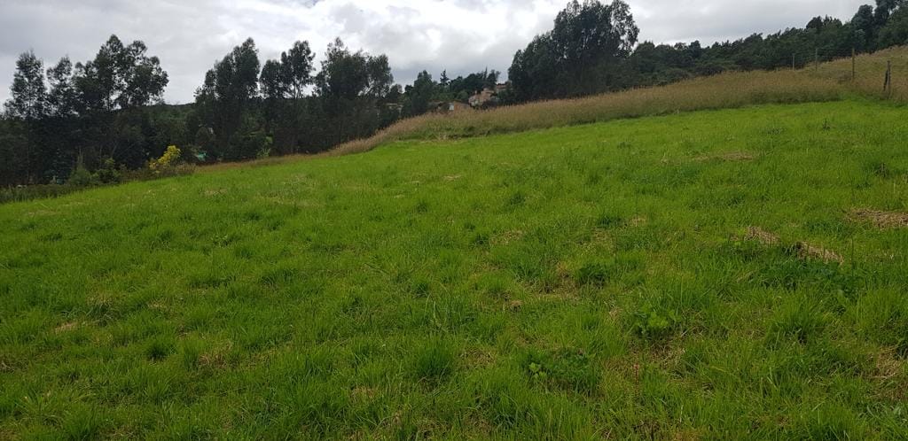 Lote en venta en Yerbabuena, Chía, 2193 m² · foto 4 de 12