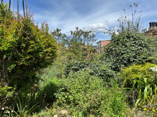 Lote en venta en Canelon, Cajicá, 735 m² · foto 4 de 6