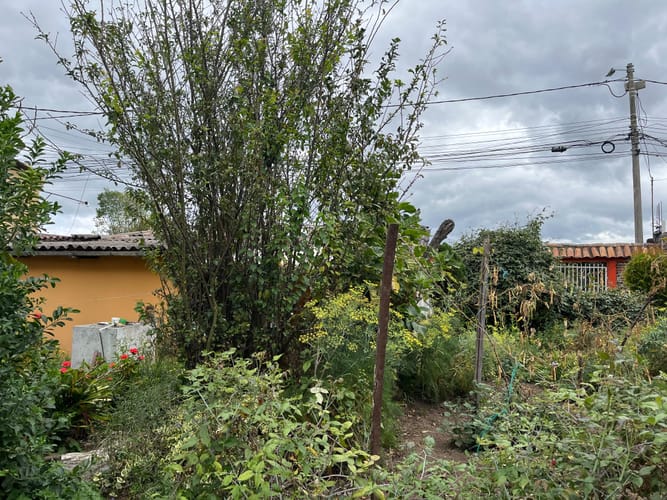 Lote en venta en Canelon, Cajicá, 735 m² · foto 6 de 6