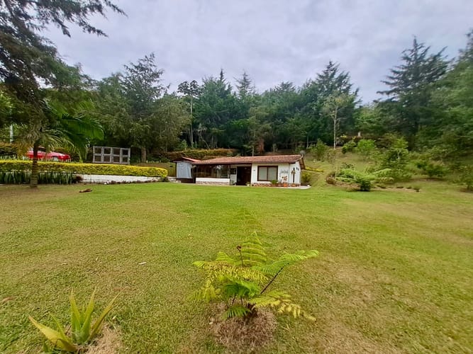 Finca en venta en La Sonadora, El Carmen de Viboral, 3512 m² · foto 4 de 24