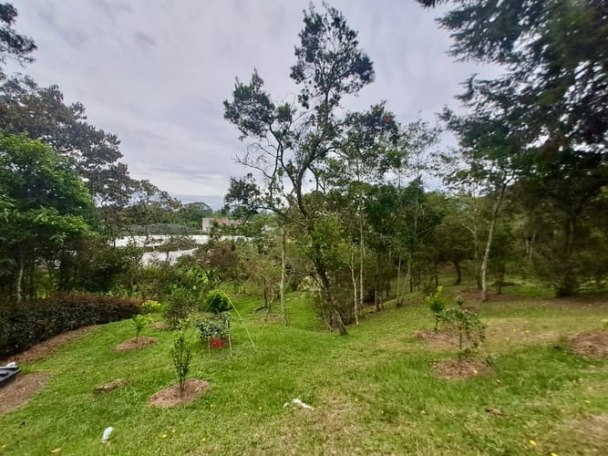 Finca en venta en La Sonadora, El Carmen de Viboral, 3512 m² · foto 21 de 24