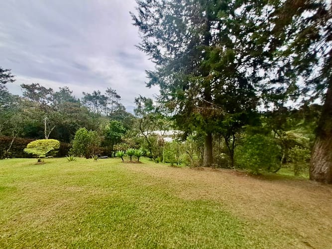 Finca en venta en La Sonadora, El Carmen de Viboral, 3512 m² · foto 6 de 24