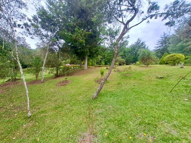 Finca en venta en La Sonadora, El Carmen de Viboral, 3512 m² · foto 24 de 24