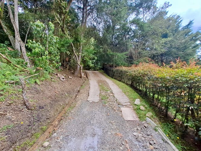 Finca en venta en La Sonadora, El Carmen de Viboral, 3512 m² · foto 22 de 24