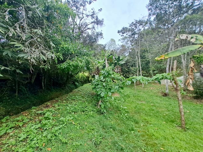 Finca en venta en La Sonadora, El Carmen de Viboral, 3512 m² · foto 23 de 24