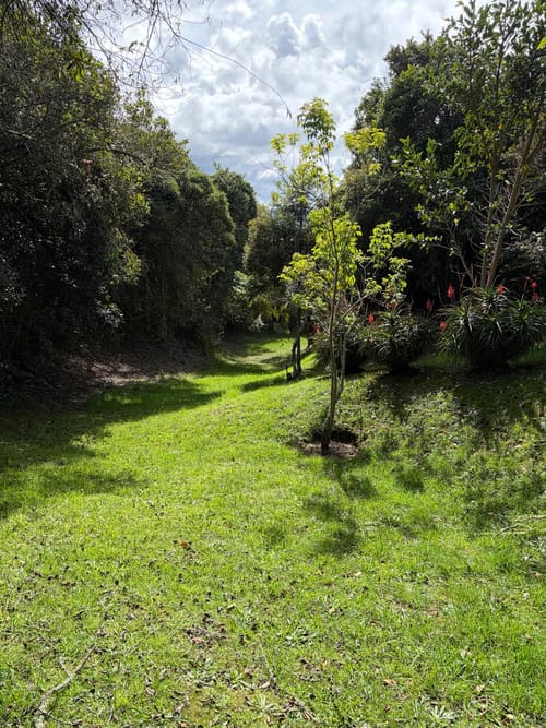 Casa de 5 alcobas en venta en Yerbabuena, Chía, 580 m² · foto 4 de 24