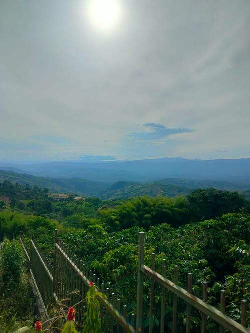 Lote en venta en La Cabaña, Manizales, 900 m² · foto 2 de 11