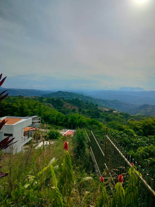 Lote en venta en La Cabaña, Manizales, 900 m² · foto 6 de 11