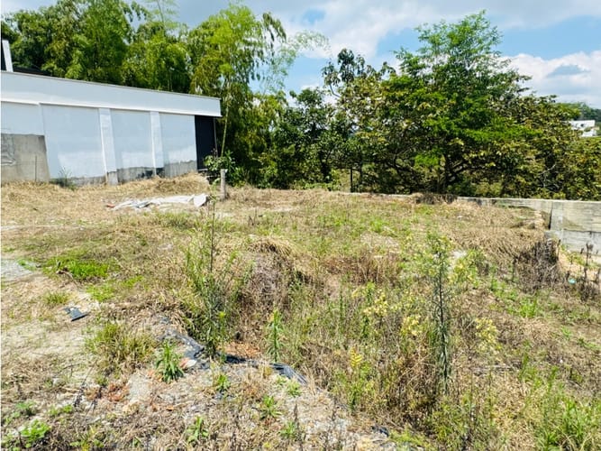 Lote en venta en Cr. Bosques De Palermo, Armenia, 163 m² · foto 3 de 7
