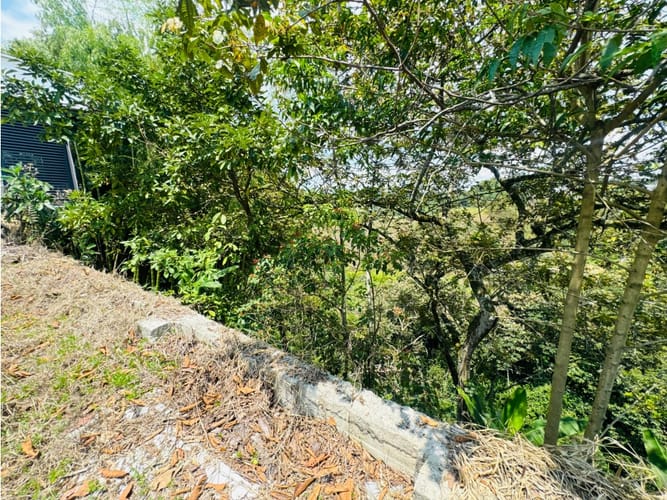 Lote en venta en Cr. Bosques De Palermo, Armenia, 163 m² · foto 5 de 7