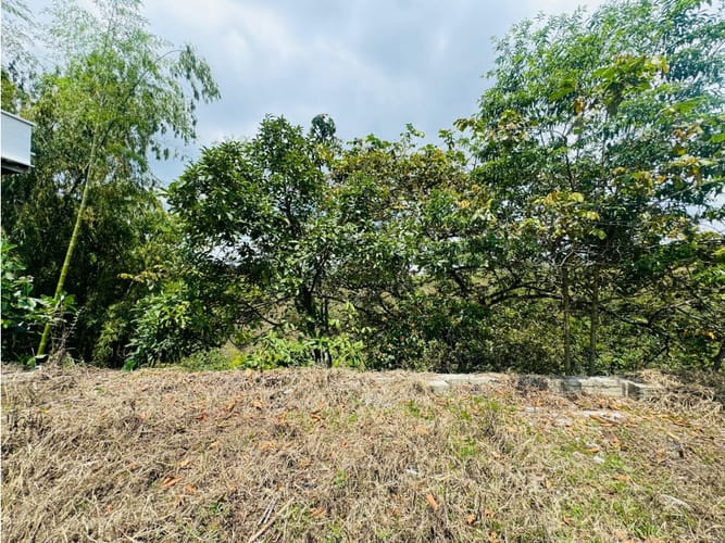 Lote en venta en Cr. Bosques De Palermo, Armenia, 163 m² · foto 6 de 7