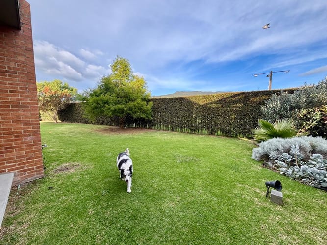 Casa de 4 alcobas en venta en Hacienda Fontanar, Chía, 500 m² · foto 13 de 24