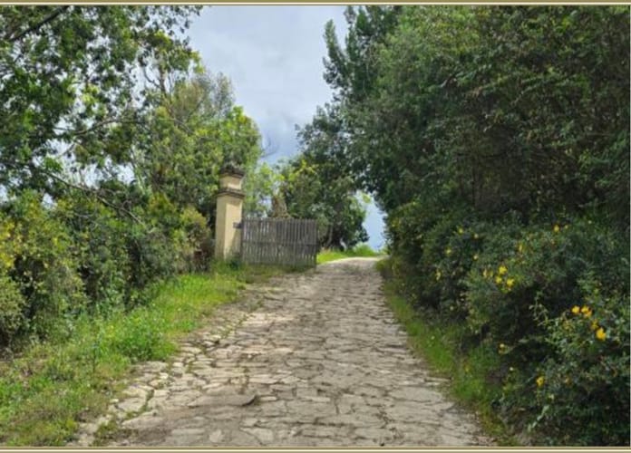Lote en venta en Flandes, La Calera, 10000 m² · foto 2 de 14