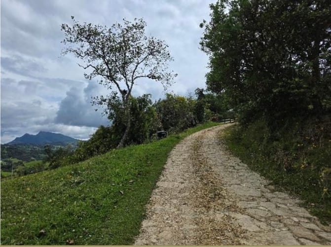 Lote en venta en Flandes, La Calera, 10000 m² · foto 3 de 14