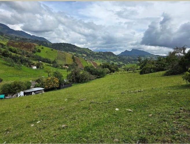 Lote en venta en Flandes, La Calera, 10000 m² · foto 4 de 14