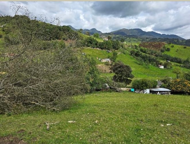 Lote en venta en Flandes, La Calera, 10000 m² · foto 5 de 14