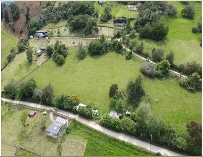 Lote en venta en Flandes, La Calera, 10000 m² · foto 6 de 14