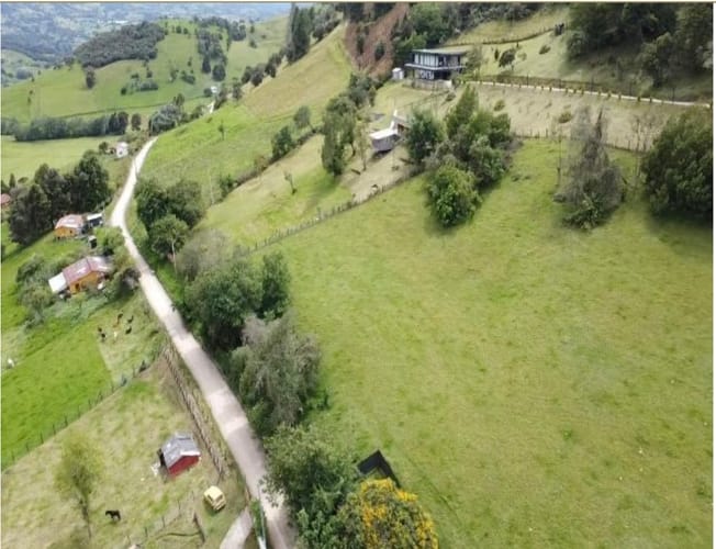 Lote en venta en Flandes, La Calera, 10000 m² · foto 8 de 14