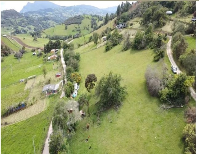 Lote en venta en Flandes, La Calera, 10000 m² · foto 9 de 14