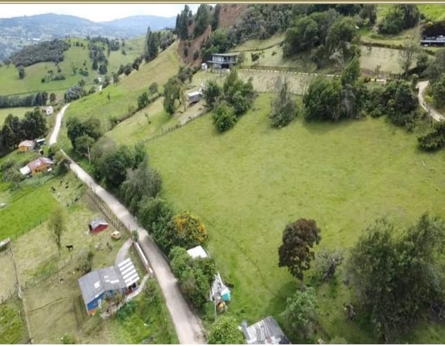 Lote en venta en Flandes, La Calera, 10000 m² · foto 10 de 14