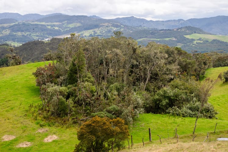 Lote en venta en El Salitre, La Calera, 20000 m² · foto 4 de 23