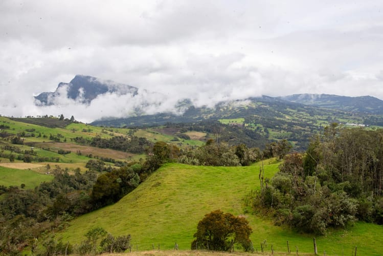 Lote en venta en El Salitre, La Calera, 20000 m² · foto 5 de 23