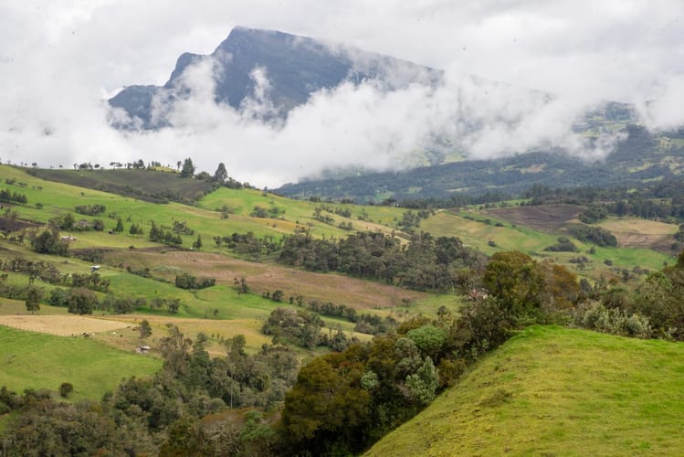 Lote en venta en El Salitre, La Calera, 20000 m² · foto 6 de 23