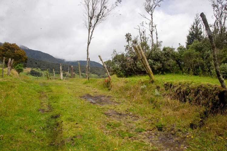 Lote en venta en El Salitre, La Calera, 20000 m² · foto 7 de 23