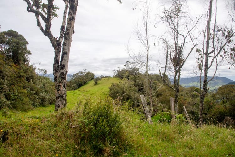 Lote en venta en El Salitre, La Calera, 20000 m² · foto 8 de 23