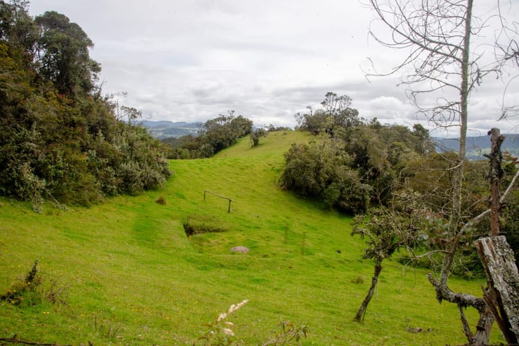 Lote en venta en El Salitre, La Calera, 20000 m² · foto 9 de 23