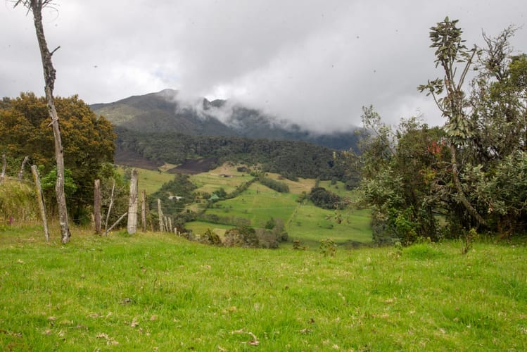 Lote en venta en El Salitre, La Calera, 20000 m² · foto 11 de 23