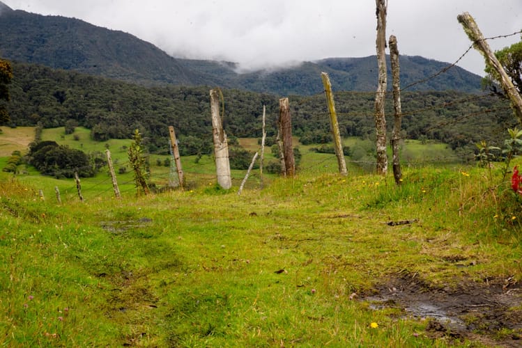 Lote en venta en El Salitre, La Calera, 20000 m² · foto 12 de 23