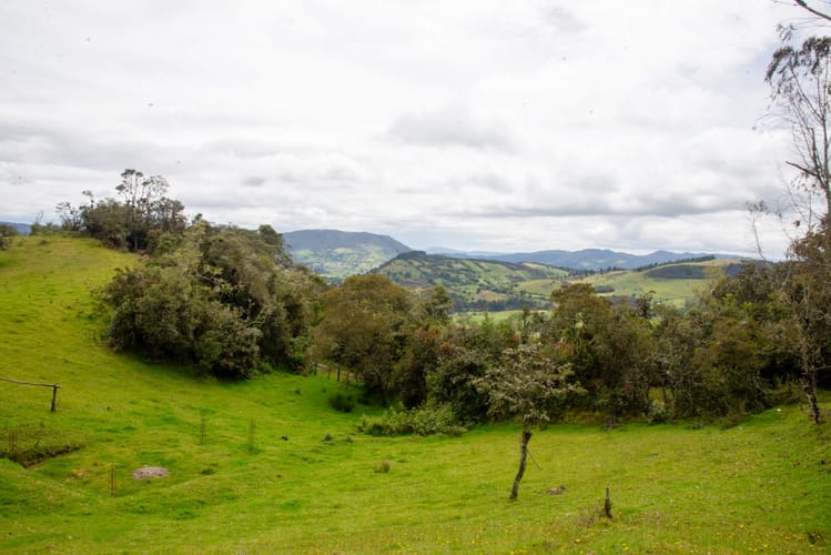 Lote en venta en El Salitre, La Calera, 20000 m² · foto 14 de 23